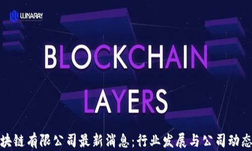 
友盾区块链有限公司最新消息：行业发展与公司动态全解析