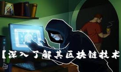 什么是欧币？深入了解其区块链技术与应用软件