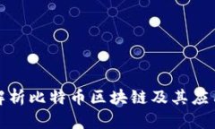 全面解析比特币区块链及其应用前景