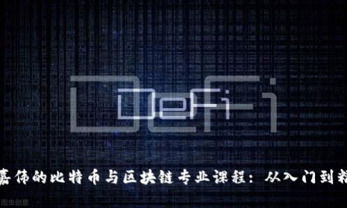 朱嘉伟的比特币与区块链专业课程: 从入门到精通