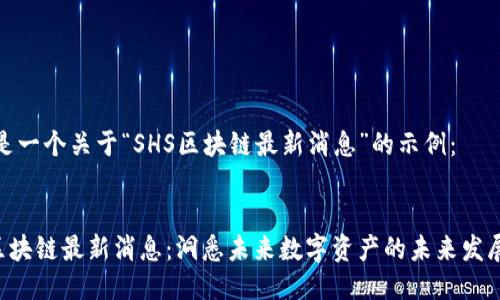 以下是一个关于“SHS区块链最新消息”的示例： 


SHS区块链最新消息：洞悉未来数字资产的未来发展趋势