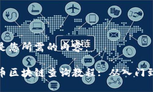 以下是您所需的内容：

比特币区块链查询教程: 从入门到精通