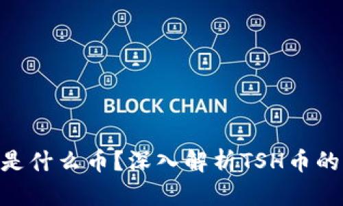 区块链TSH是什么币？深入解析TSH币的特点与应用