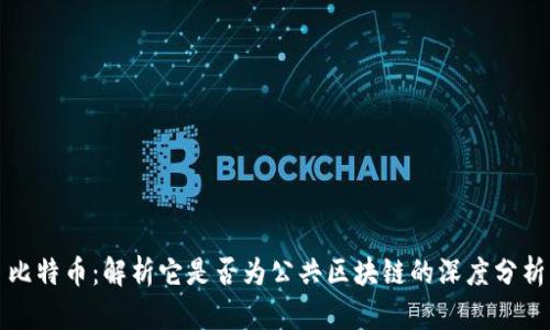 比特币：解析它是否为公共区块链的深度分析