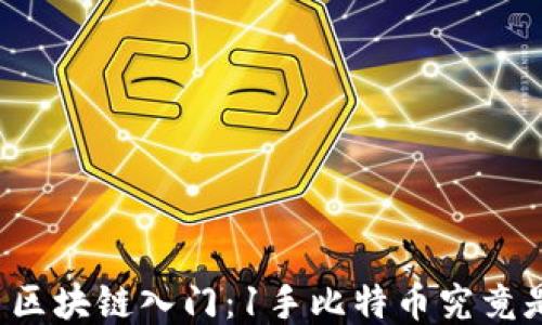 
比特币区块链入门：1手比特币究竟是多少？