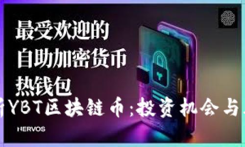 全面解析YBT区块链币：投资机会与风险分析