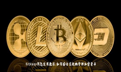 BitKeep钱包使用教程：如何安全高效地管理加密货币