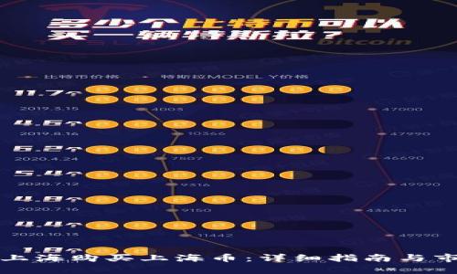 如何在上海购买上海币：详细指南与市场分析