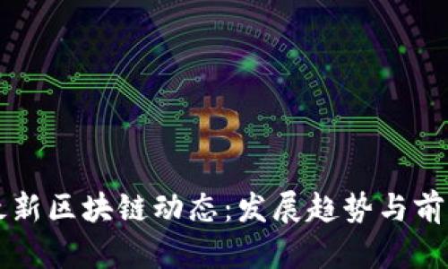 厦门最新区块链动态：发展趋势与前景分析