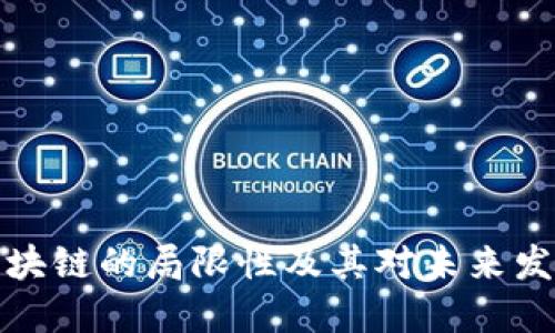 比特币区块链的局限性及其对未来发展的影响