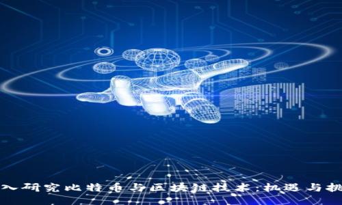 深入研究比特币与区块链技术：机遇与挑战