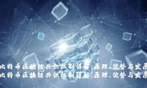 比特币区块链共识机制详解：原理、优势与发展
比特币区块链共识机制详解：原理、优势与发展