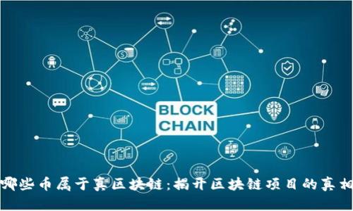 哪些币属于真区块链：揭开区块链项目的真相