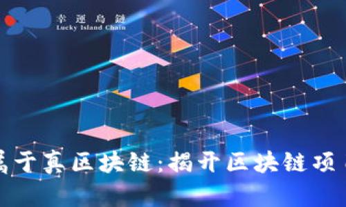 哪些币属于真区块链：揭开区块链项目的真相