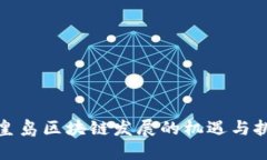 秦皇岛区块链发展的机遇与挑战