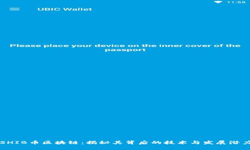 SHIB币区块链：揭秘其背后的技术与发展潜力