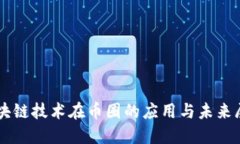 区块链技术在币圈的应用与未来展望