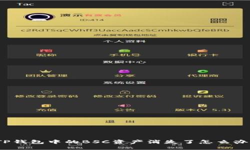 TP钱包中的BSC资产消失了怎么办？