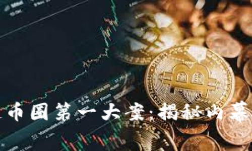 区块链币圈第一大案：揭秘内幕与影响
