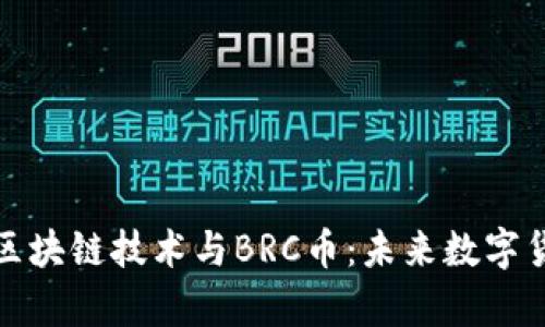 深入解析区块链技术与BRC币：未来数字货币的选择