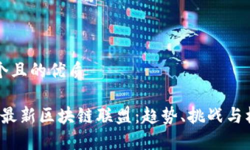 思考一个且的优质

2023年最新区块链联盟：趋势、挑战与机遇解析