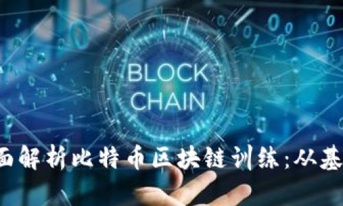 优质 全面解析比特币区块链训练：从基础到实战