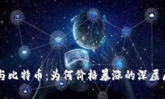 区块链与比特币：为何价格暴涨的深层原因分析