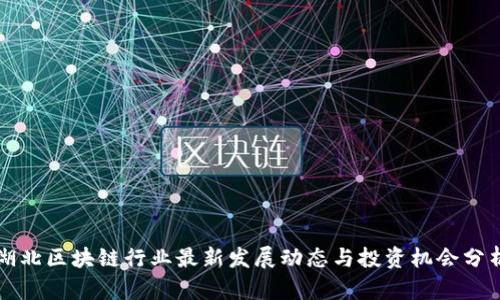 湖北区块链行业最新发展动态与投资机会分析