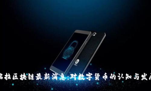 委内瑞拉区块链最新消息：对数字货币的认知与发展趋势