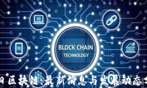 
明日区块链：最新消息与发展动态分析