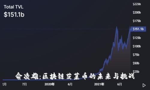 俞凌雄：区块链菠菜币的未来与挑战