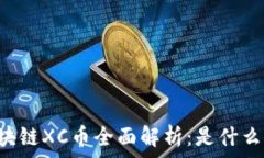   新加坡区块链XC币全面解析：是什么，如何运作