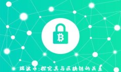 瑞波币：探究其与区块链的关系