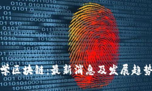 优质
密码学区块链：最新消息及发展趋势详解