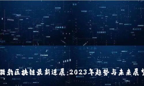 猎豹区块链最新进展：2023年趋势与未来展望