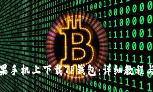 与关键词

如何在苹果手机上下载TP钱包：详细教程与注意事项