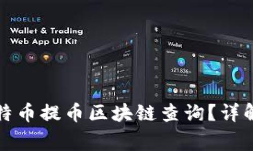 如何进行比特币提币区块链查询？详解及注意事项