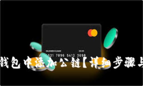 如何在TP钱包中添加公链？详细步骤与完整指南