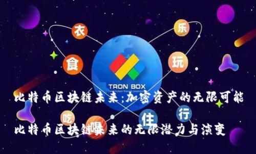 比特币区块链未来：加密资产的无限可能

比特币区块链未来的无限潜力与演变