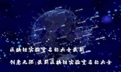 区块链实验室名称大全最新创意无限：最新区块