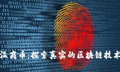 揭秘温商币：探索真实的区块链技术之旅