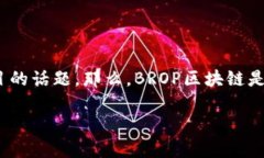 深入了解BROP区块链的币发行机制在近年来快速发
