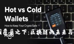 币圈覆巢之下：区块链的未来与挑战