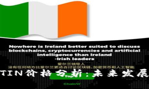 最新区块链TIN价格分析：未来发展与投资趋势