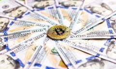 为了构建与“t p钱包代币都归0”相关的搜索内容