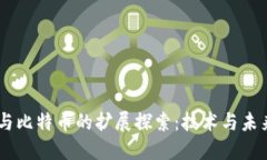 ## 区块链与比特币的扩展探索：技术与未来的无