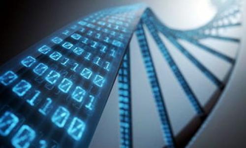 思考用户搜索意图

如今，随着区块链技术的飞速发展，越来越多的人开始对炒币和挖矿表现出浓厚的兴趣。在这个数字货币的世界里，了解如何找到合适的炒币和挖矿地址，非常重要。许多用户可能会在搜索引擎中输入“区块链炒币挖矿地址”这样的关键词，寻求获取更详细、更具体的帮助和资讯。

优秀的

在这个背景下，一个的可以是：

获取全面、精准的区块链炒币和挖矿地址指南