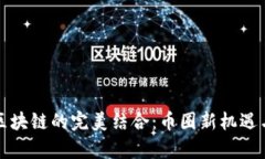 探索VR与区块链的完美结合：币圈新机遇与投资前