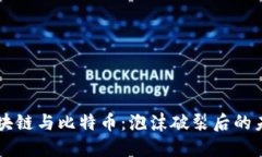 区块链与比特币：泡沫破裂后的未来