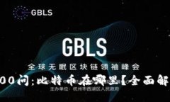 区块链100问：比特币在哪里？全面解答与探索